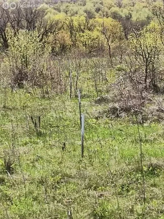 Участок в муниципальное образование Саратов, рабочий посёлок Соколовый ... - Фото 2