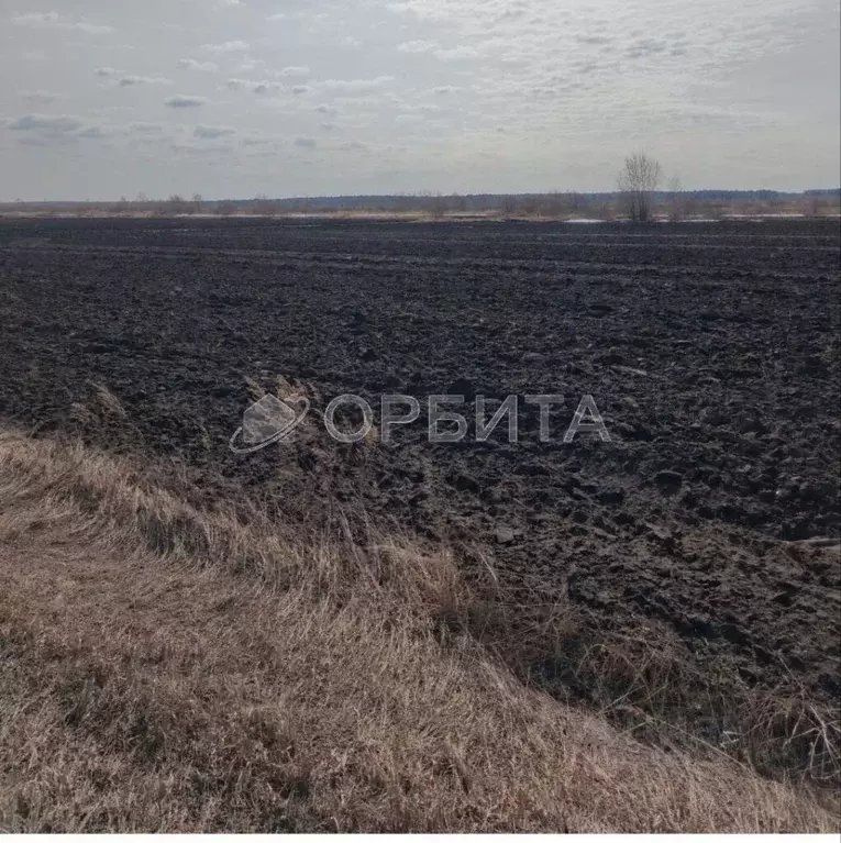 Участок в Тюменская область, Тюменский район, с. Мальково Новая ул., ... - Фото 1