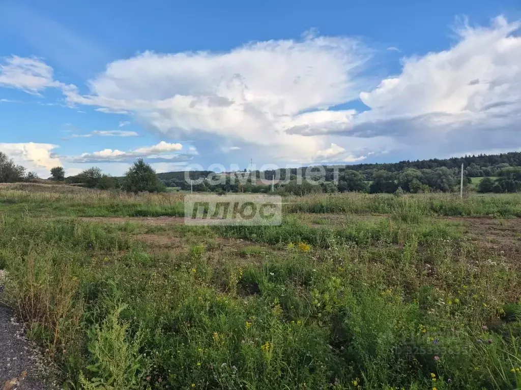 Участок в Москва ш. Рязановское (10.0 сот.) - Фото 1