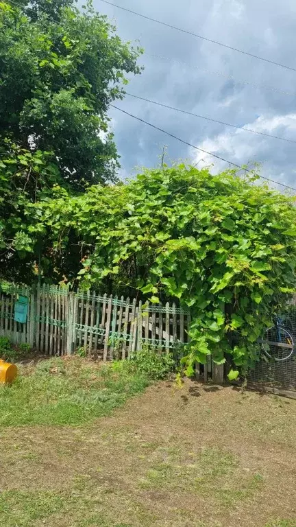 Дом в Воронежская область, Аннинский район, Бродовское с/пос, с. ... - Фото 2