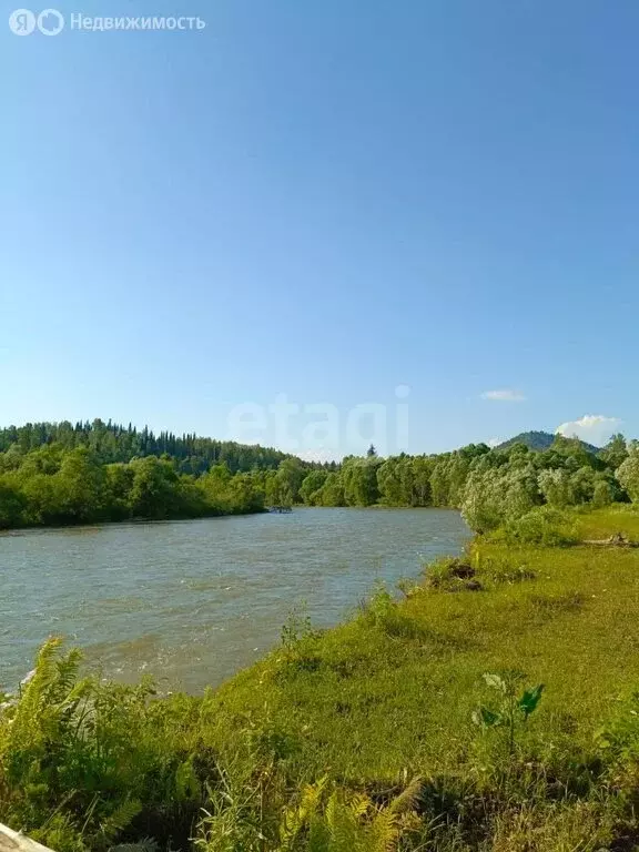 Участок в Турочакский район, село Ново-Троицк, Черёмуховая улица (130 ... - Фото 1