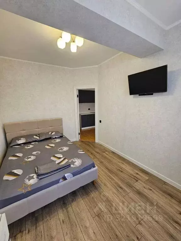 1-к кв. Краснодарский край, Сочи ул. Ленина, 146 (36.0 м) - Фото 0