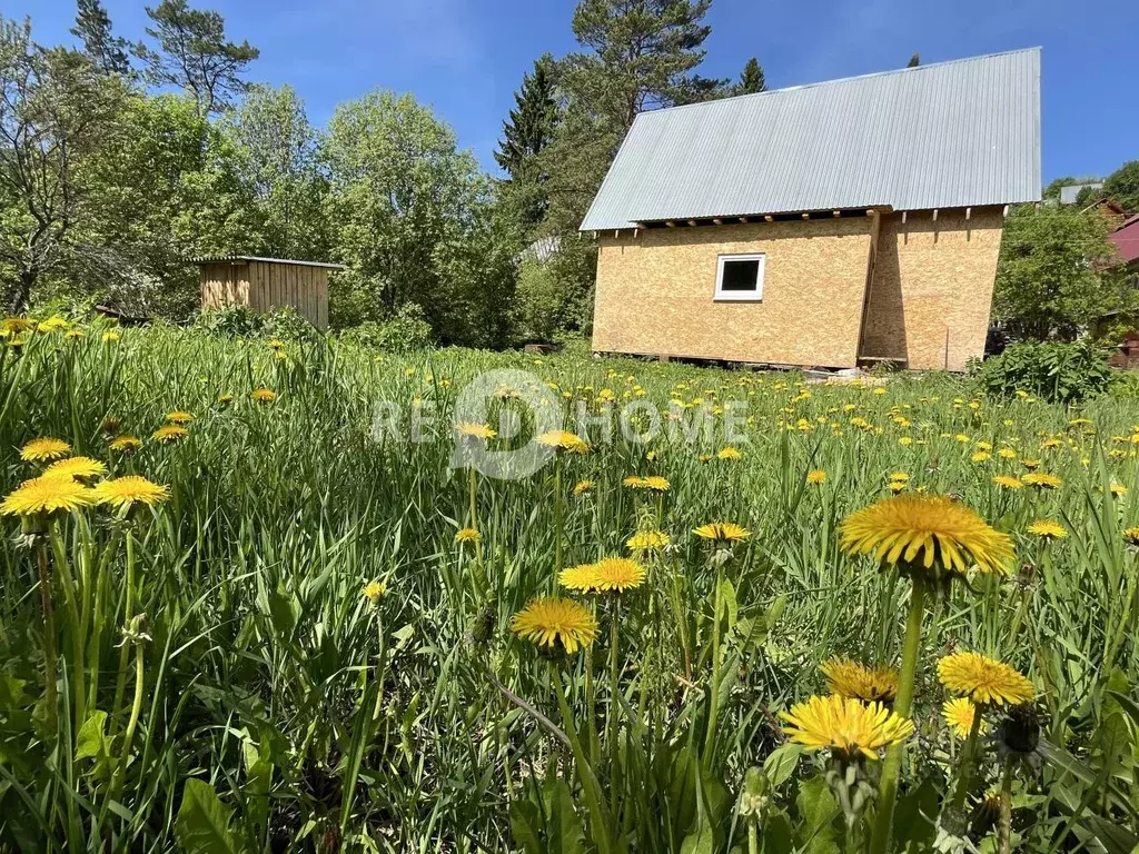 Дом в Пермский край, с. Янычи тракт Сибирский (54 м) - Фото 1