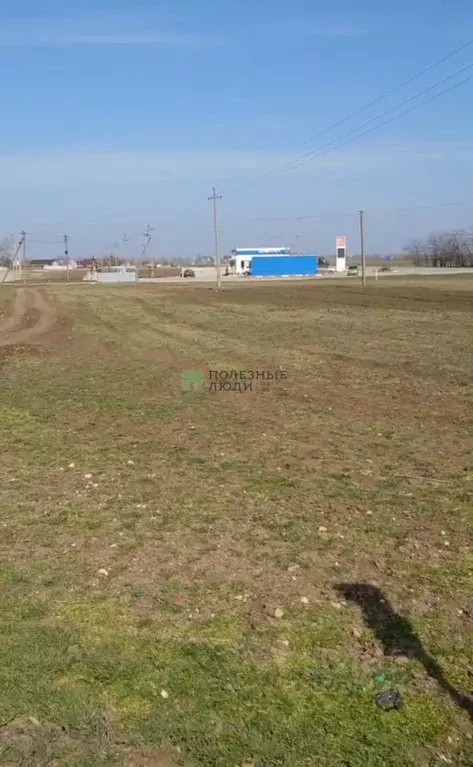 Участок в Крым, Сакский район, с. Веселовка ул. Кирова (25.0 сот.) - Фото 2