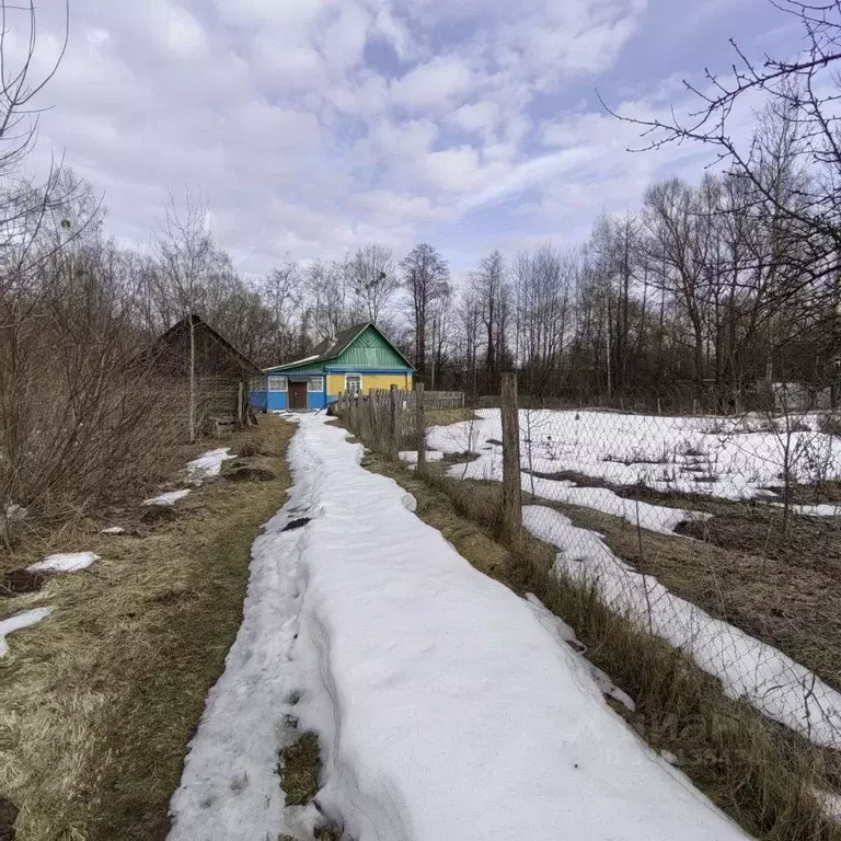 Дом в Брянская область, Навля рп ул. Смоленская (51 м) - Фото 2