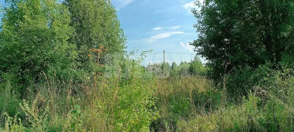 Дом в Вологодская область, Сокольский муниципальный округ, д. Большой ... - Фото 2