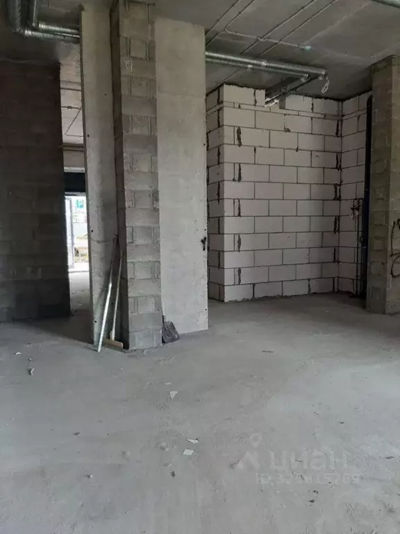 Торговая площадь в Московская область, Люберцы городской округ, Мирный ... - Фото 2