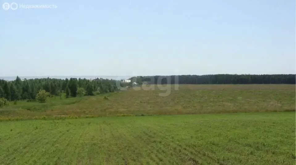 Участок в Усть-Ницинское сельское поселение, деревня Бурмакина (79 м) - Фото 2