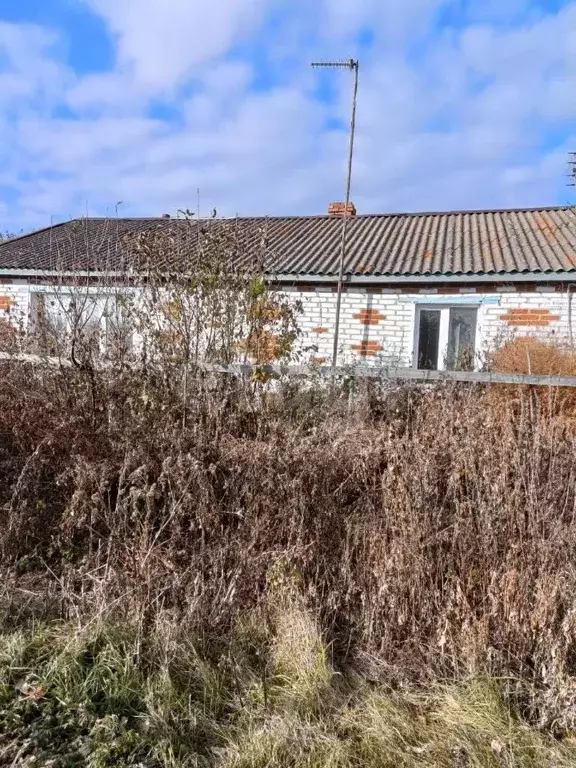 Дом в Курганская область, Далматовский муниципальный округ, д. Белое ... - Фото 2