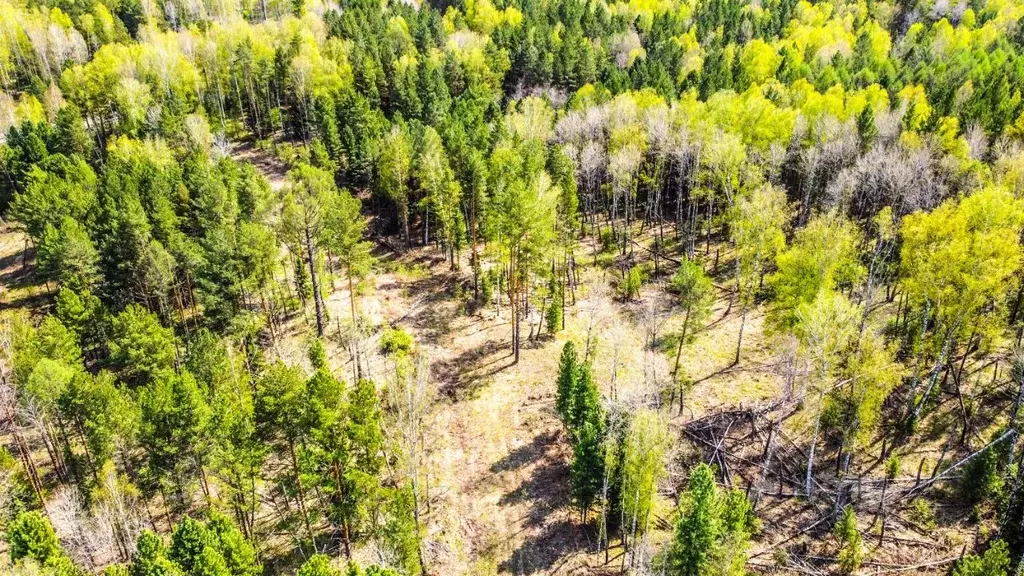 Участок в Томская область, Томский район, Богашевское с/пос, д. ... - Фото 2