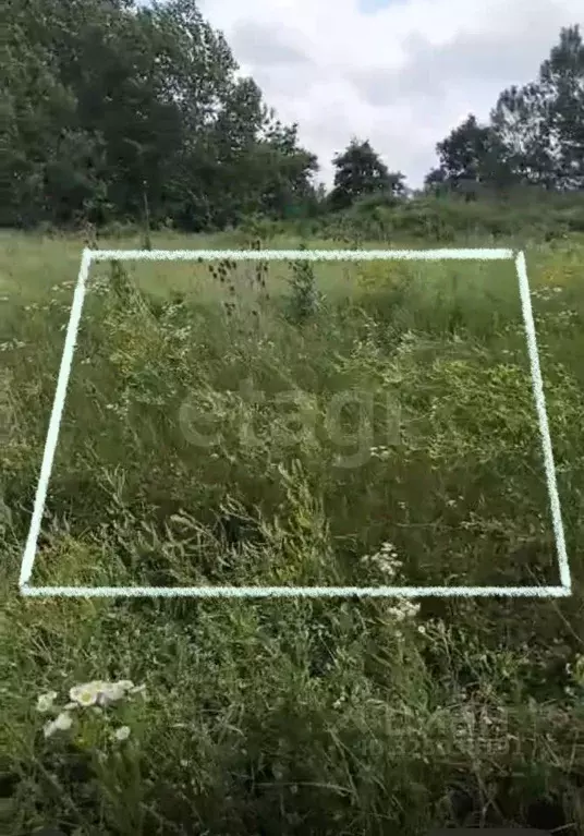 Участок в Краснодарский край, Крымский район, Южное с/пос, Южный ... - Фото 1