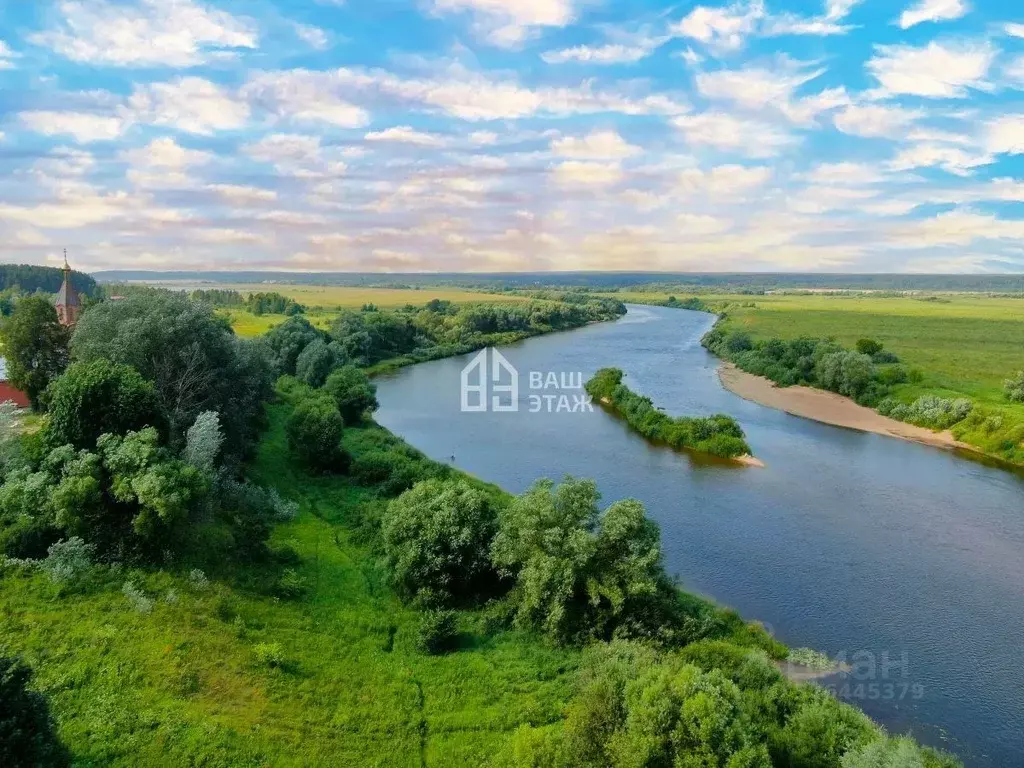 Участок в Калужская область, Дзержинский муниципальный округ, Дворцы ... - Фото 2