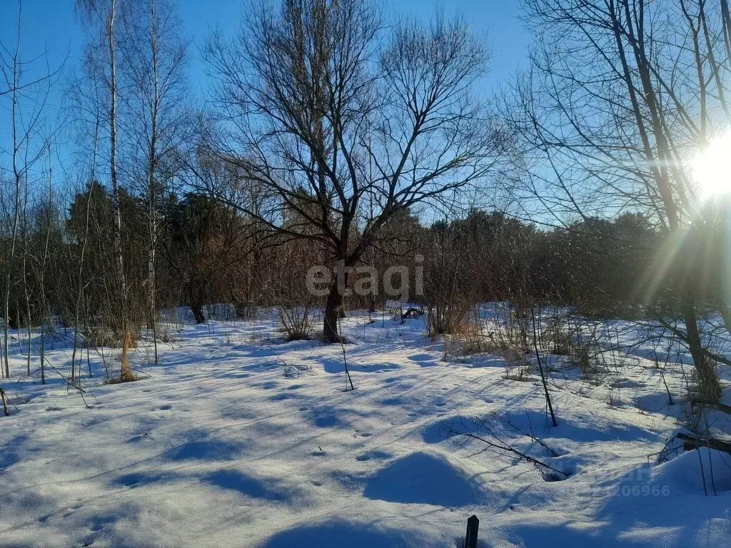 Участок в Смоленская область, Смоленск пос. Красный Бор, 5Д (7.1 сот.) - Фото 2