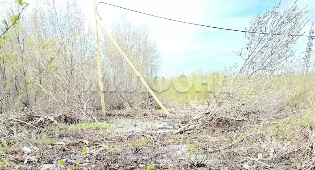 Участок в Архангельск, микрорайон Южная Маймакса, Гренландская улица ... - Фото 1