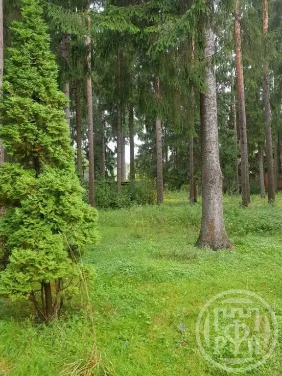 Участок в Ленинградская область, Выборгский район, Первомайское с/пос, ... - Фото 2