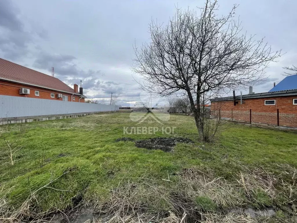 Участок в Краснодарский край, Северская ст-ца ул. Западная (10.0 сот.) - Фото 1