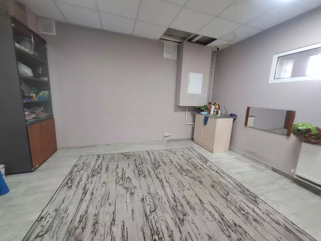 Помещение свободного назначения в Ставропольский край, Георгиевск ул. ... - Фото 2