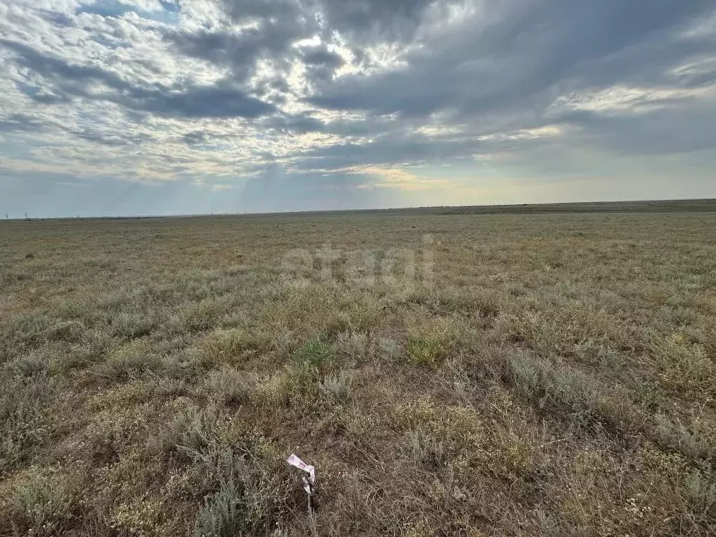 Участок в Крым, Сакский район, Штормовское с/пос, с. Приветное  (6.0 ... - Фото 1