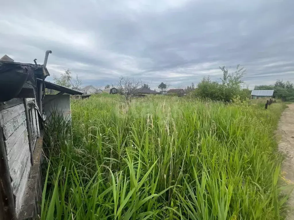 Участок в Ярославская область, Ярославский муниципальный округ, ... - Фото 1
