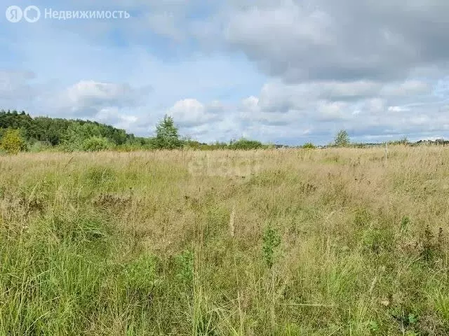 Участок в Мошковский район, село Барлак (190 м) - Фото 1