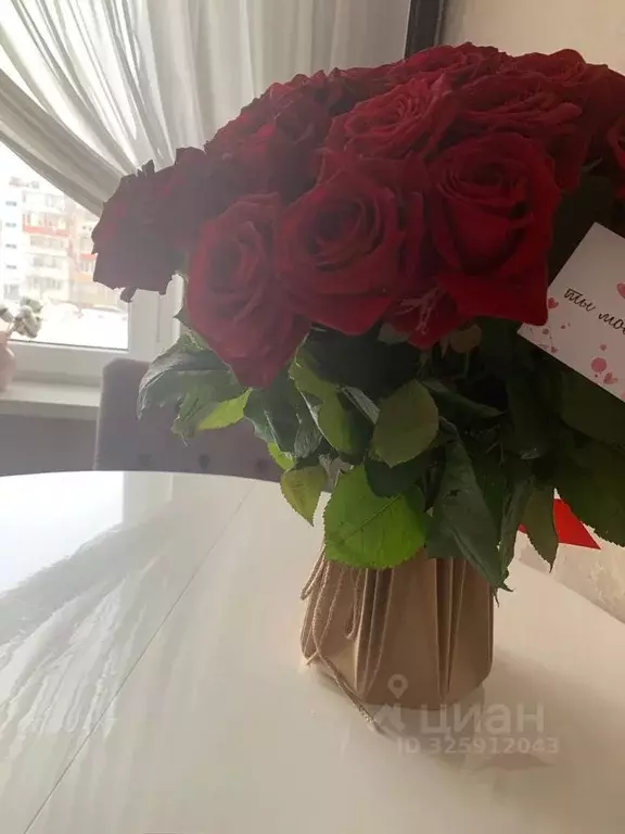 2-к кв. Белгородская область, Белгородский район, Разумное рп ул. ... - Фото 1