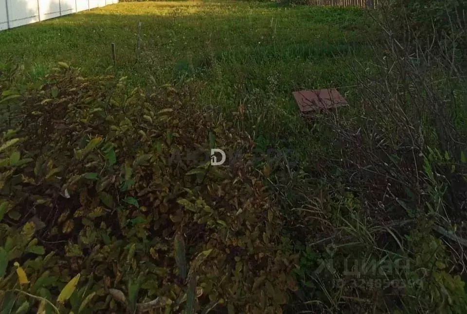 Участок в Алтайский край, Павловский район, с. Черемное  (10.0 сот.) - Фото 1