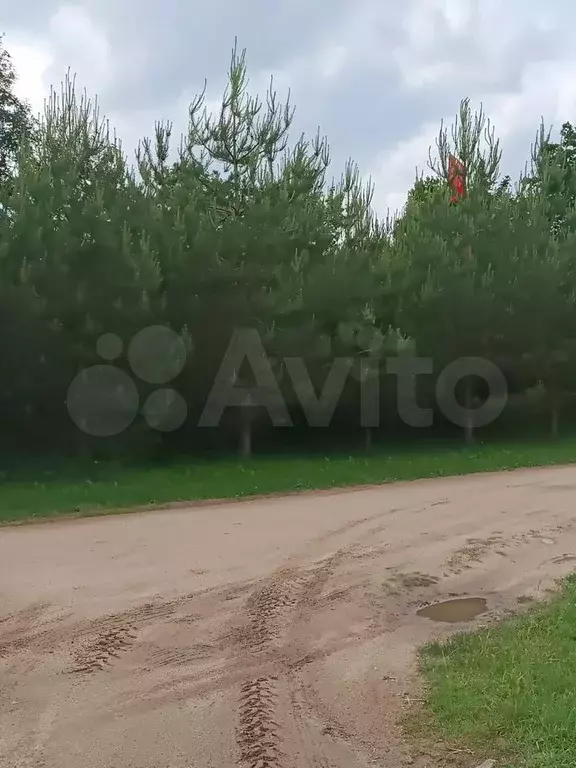 Дом 57,4 м на участке 9,8 сот. - Фото 0
