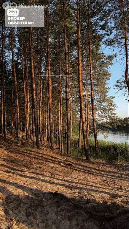 Участок в Сосновец, Набережная улица (16 м) - Фото 0