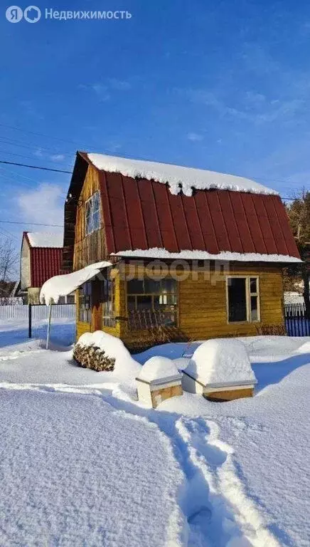 Участок в Криводановский сельсовет, садовое товарищество Сосна (4 м) - Фото 2