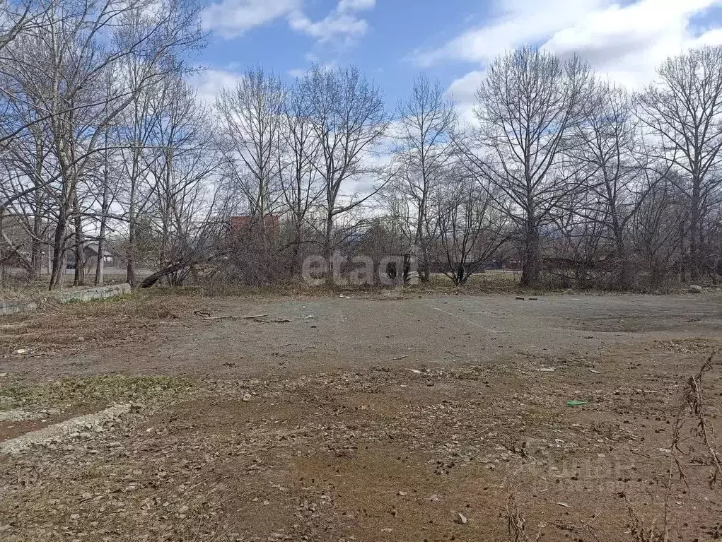 Помещение свободного назначения в Камчатский край, Елизово Пограничный ... - Фото 2