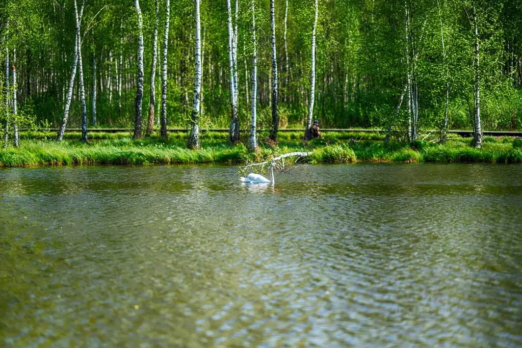 Участок в Московская область, Мытищи городской округ, пос. ... - Фото 2