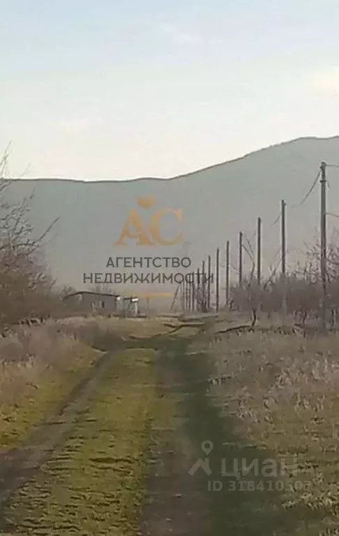 Участок в Крым, Кировский район, с. Абрикосовка ул. Сосновая (18.0 ... - Фото 0