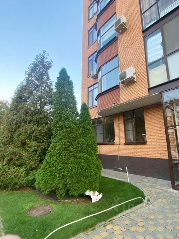Гараж в Ростовская область, Ростов-на-Дону Кировский просп., 48 (22 м) - Фото 2