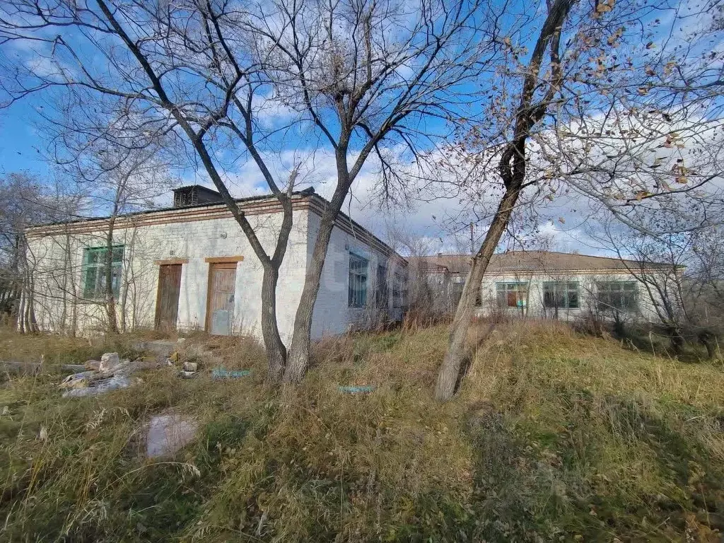 Помещение свободного назначения в Амурская область, Белогорск ... - Фото 1