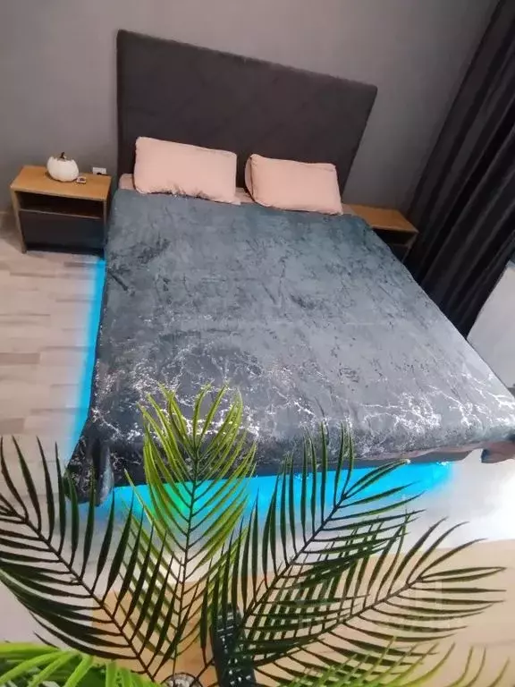 2-к кв. Пермский край, Пермь Монастырская ул., 60 (45.0 м) - Фото 1