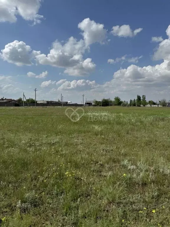 Участок в Волгоградская область, Городищенский район, Царицынское ... - Фото 0