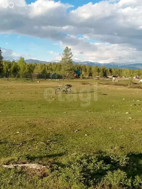 Участок в Усть-Коксинский район, село Верх-Уймон (10 м) - Фото 2