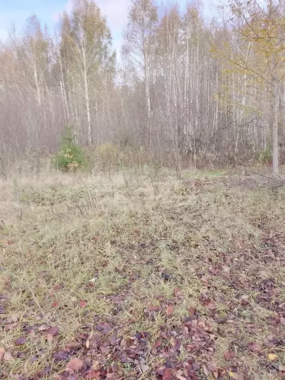 Участок в Вологодская область, д. Окишево  (15.0 сот.) - Фото 1