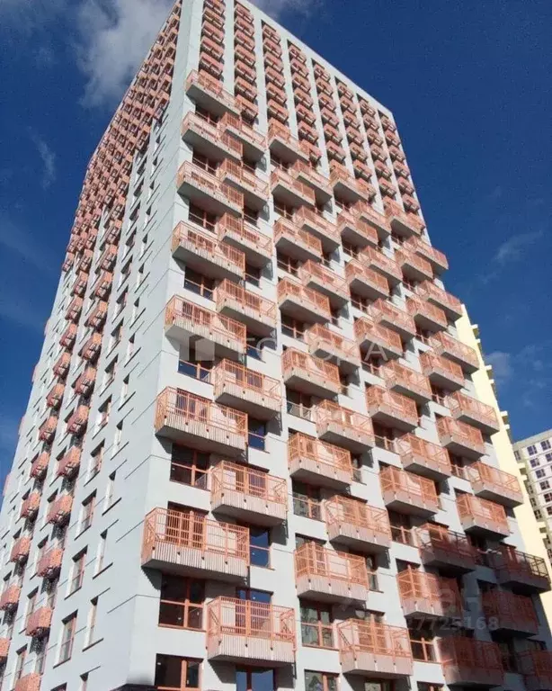 Студия Алтайский край, Барнаул городской округ, Южный рп тракт Южный, ... - Фото 1