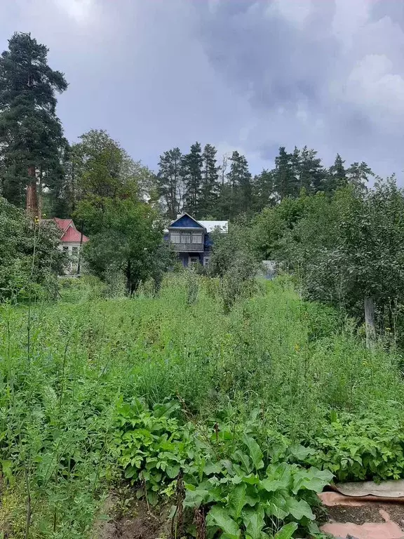 Дом 52,9 м на участке 3 сот. - Фото 0
