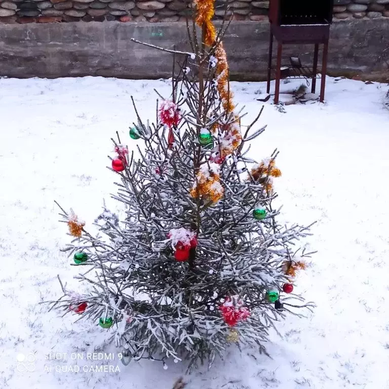 Дом в Алтай, Чемальский район, с. Чемал Курортная ул., 34 (50 м) - Фото 2