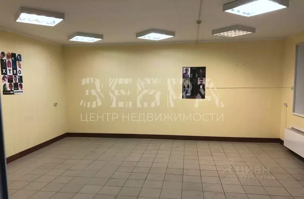 Помещение свободного назначения в Владимирская область, Александров ... - Фото 1