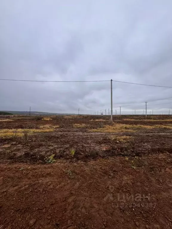 Участок в Татарстан, Арск муниципальное образование, с. Большие Верези ... - Фото 2