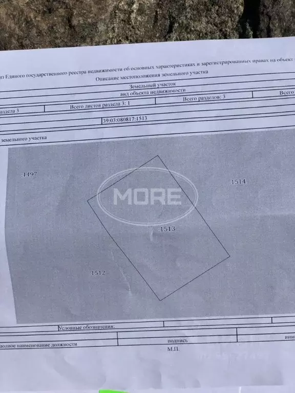 Участок в Калининградская область, Гурьевский муниципальный округ, ... - Фото 2