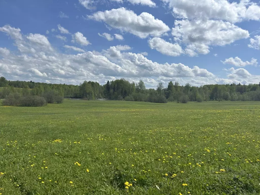Участок в Владимирская область, Александровский район, ... - Фото 0