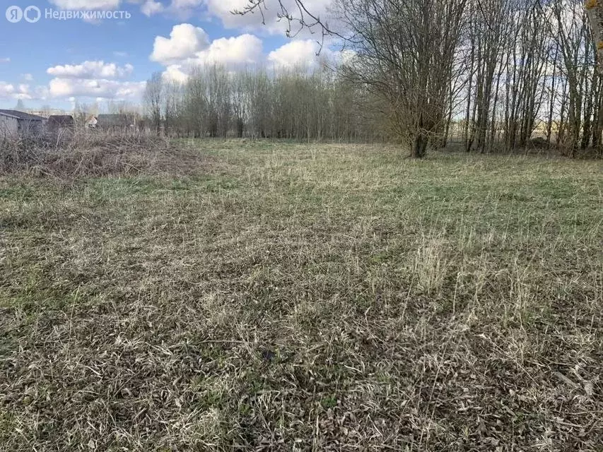 Участок в Волосовский район, Клопицкое сельское поселение, посёлок ... - Фото 2