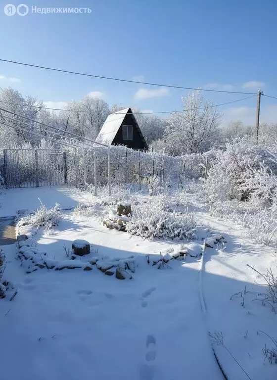 Дом в Нежинский сельсовет, СТ Полимер, 340 (25 м) - Фото 2