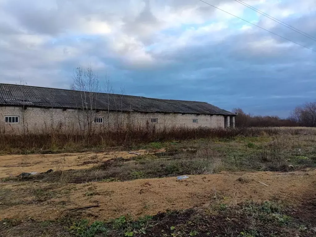 Помещение свободного назначения в Кировская область, Юрьянский район, ... - Фото 1