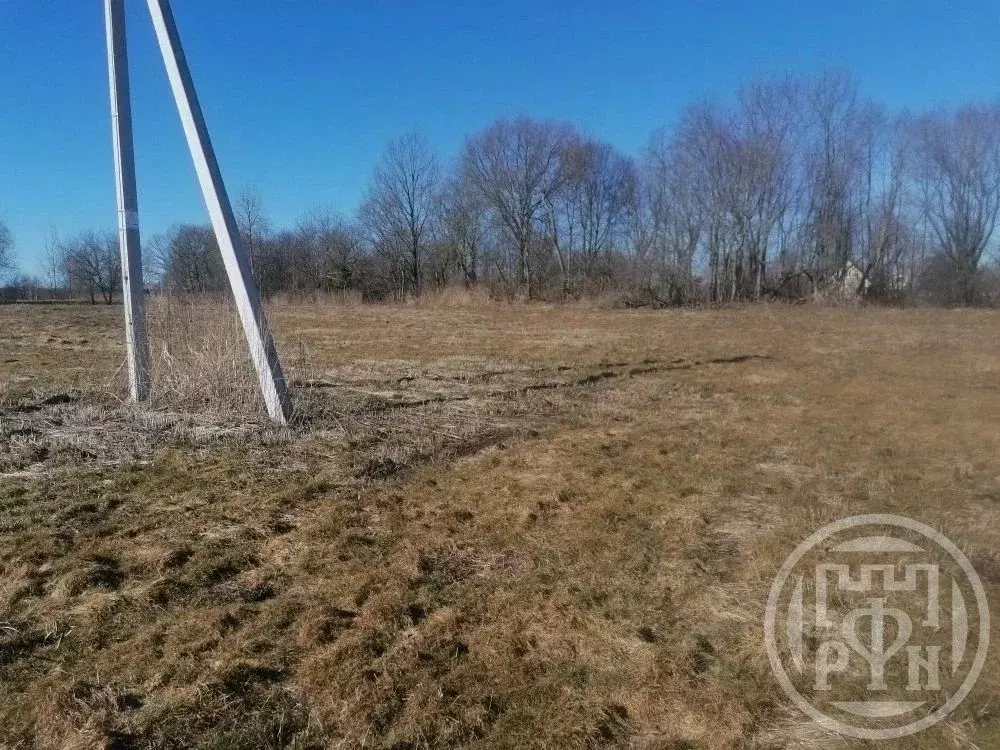 Участок в Ленинградская область, Лужский район, Заклинское с/пос, д. ... - Фото 1