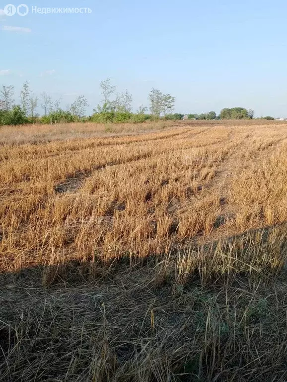 Участок в село Займо-Обрыв, переулок Мира, 5 (21 м) - Фото 1